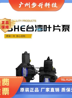 LSHE变量叶片油泵SVPF-20-70 SVPF-30/40-70 55 SVPF-15/12/08-35