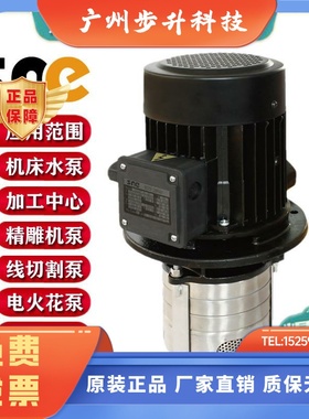 SNC机床加工中心CNC精雕机高压油泵水泵CDSP1L-2L-4L-30-40-50-60