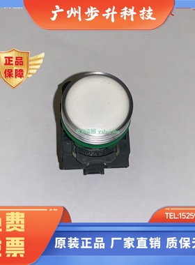 XB5AVM1  XB5AVM3  XB5AVM4  XB5AVM5  XB5AVM6 施耐德LED指示灯