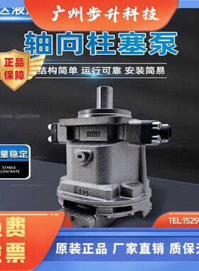 HY10/45/55/63/80/90/100/107/125/160/250Y-RP-LP津达液压柱塞泵