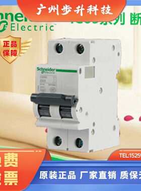 全新正品施耐德微型断路器 IC65N 2P C32A A9F18232