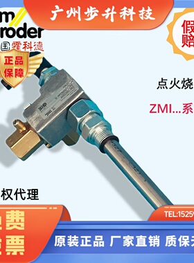点火枪 明火助燃烧嘴ZMI16B150R 300R 400R 500R 800R ZMI25G200R