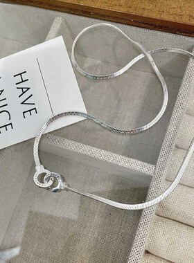 轻奢小众设计四方蛇骨项链女ins2026年新款潮时尚双环相扣锁骨链