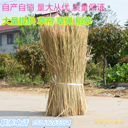 新稻草酒厂专用稻草防沙固土大棚保温隔热保暖草帘农家乐屋顶装饰 鲜花速递/花卉仿真/绿植园艺 打草绳等其他绳子 原图主图