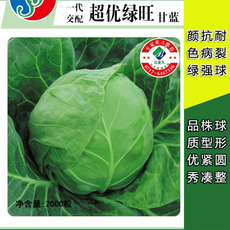 韩国进口超优绿旺甘蓝种子早熟圆球绿色包菜抗病耐裂10克包邮推荐