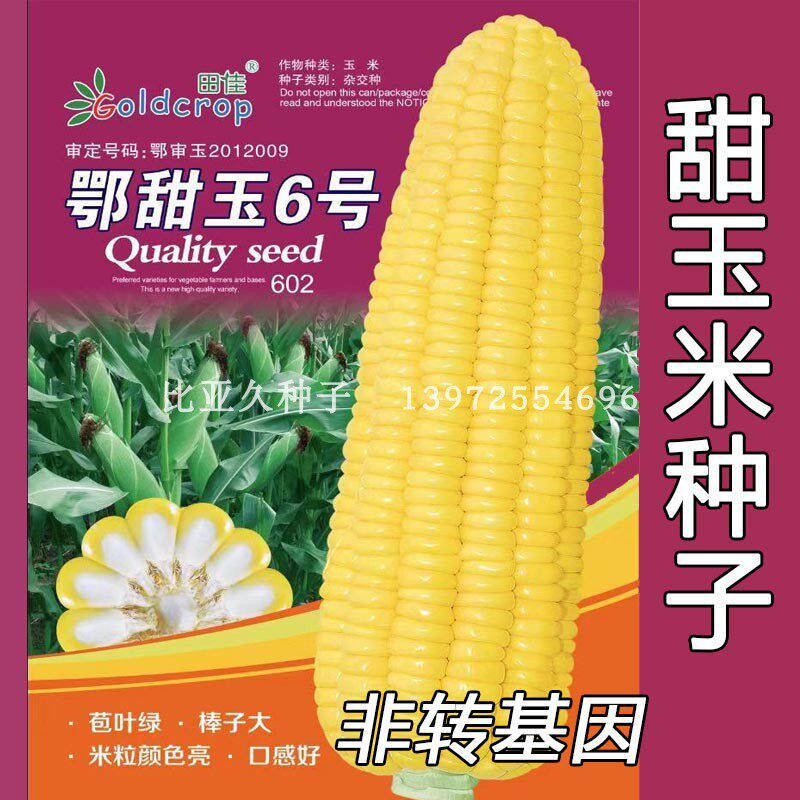 鄂甜玉甜玉米种子超甜非转基因