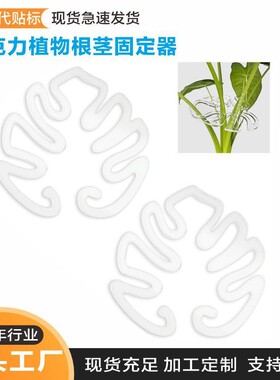 植物生长支撑架亚克力绿植龟背竹根茎固定支架支撑环绿植支撑架