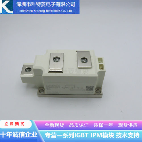 SKKR30002BVRS变频器配件IGBT模
