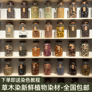 天然染料手工扎染植物染丝巾草木染DIY围巾印染蜡染材料套装新品