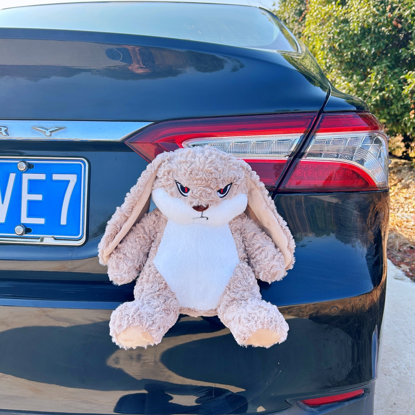 大号丢丢兔汽车车尾装饰