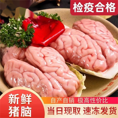 新鲜冷冻猪脑生猪脑花左右脑加小脑生鲜脑花锡纸脑髓烧烤火锅食材