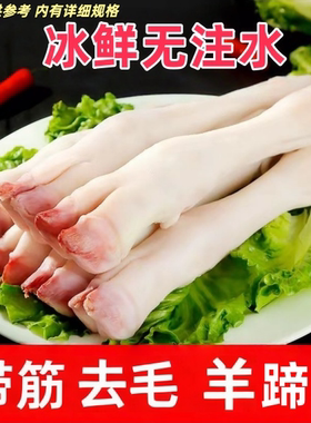新鲜生羊蹄冷冻羊腿现杀清真羊脚纯山羊带筋羊蹄带皮羊腿羊脚4斤