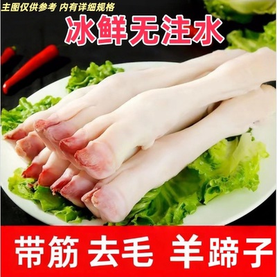 新鲜生羊蹄冷冻羊腿现杀清真羊脚纯山羊带筋羊蹄带皮羊腿羊脚4斤