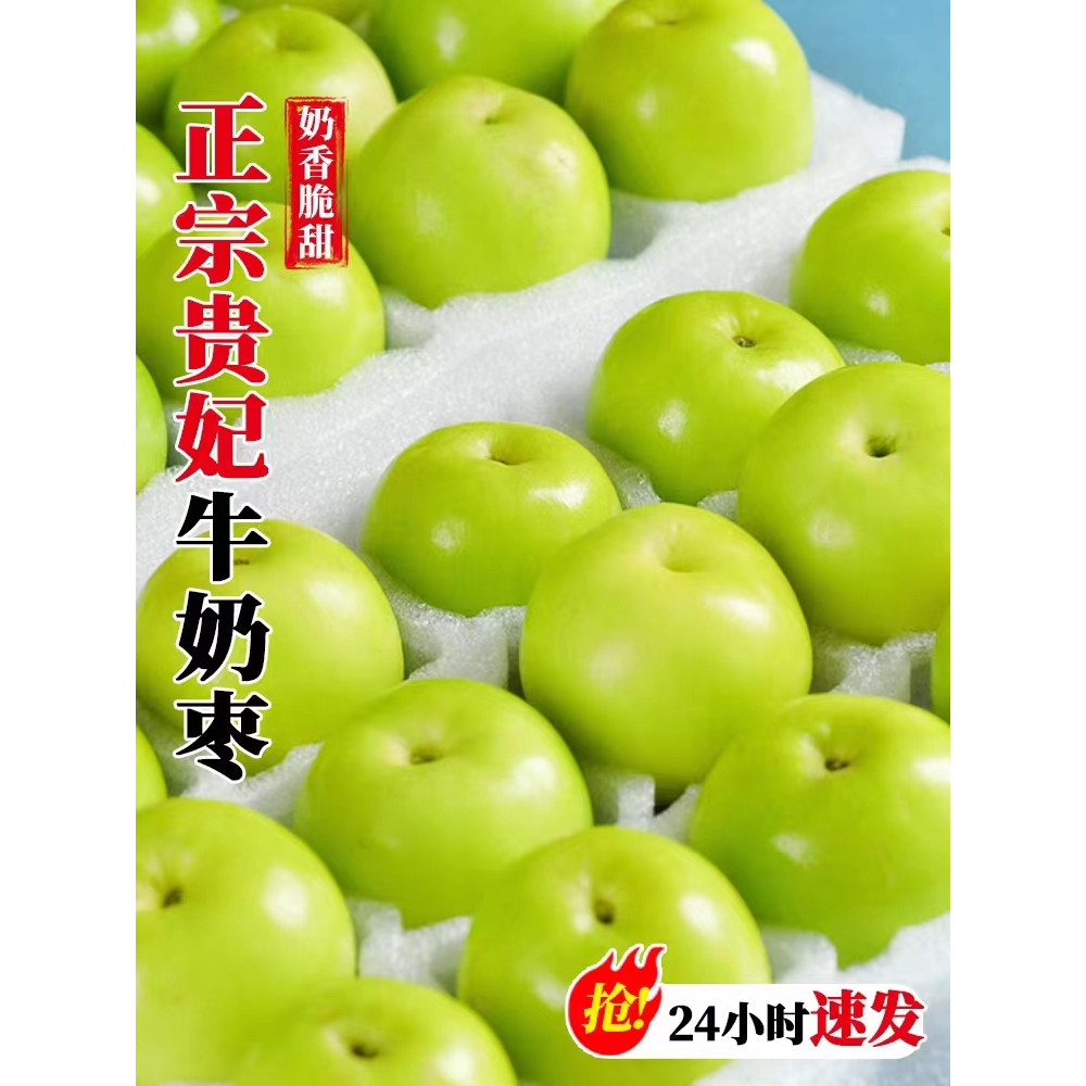 现货福建牛奶枣大青枣孕妇新鲜冬枣贵妃鲜枣水果脆枣子非苹果东枣