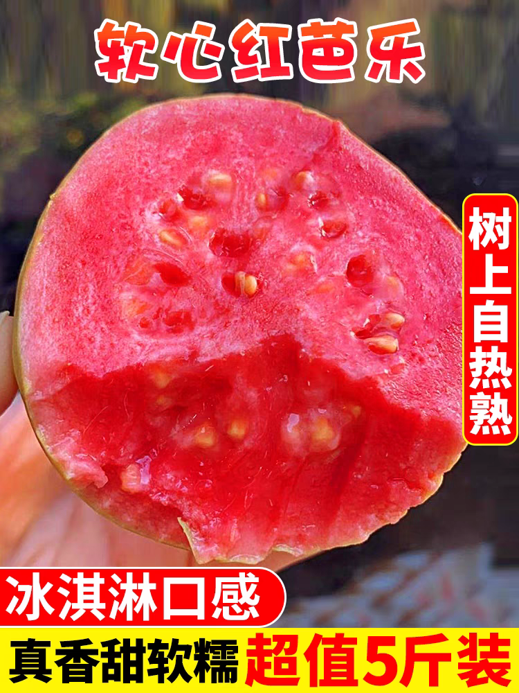福建红心奶油芭乐 现摘现发孕妇水果番石榴当季水果一件包邮5斤装