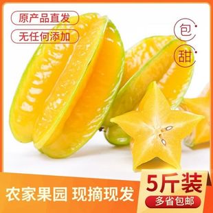 漳州甜杨桃水果4.5斤整箱当季杨桃红杨桃五角星杨桃超甜现摘现发