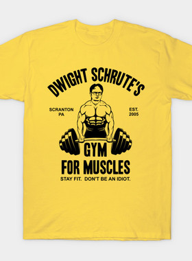 美剧The Office办公室版mike周边dwight短袖t恤dunder mifflin