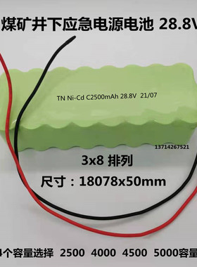 TN Ni-Cd C2500 28.8V 煤矿井下应急电源电池组4500MAH充电电池组