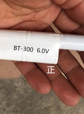 BT-300mAh6.0V7.2V充电电组池