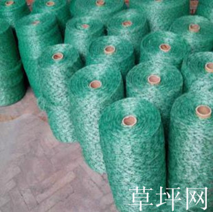 草坪网草皮卷尼龙网园林草坪种植绿色专用网草坪网子专用厂家直销