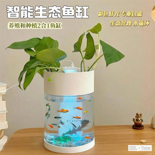 考拉日记跨境儿童家用两栖生态鱼缸电动灯光过滤打氧小型鱼缸