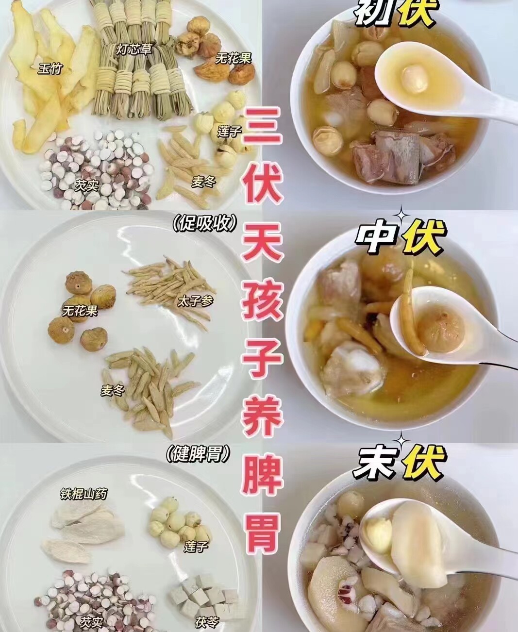 三伏天儿童养脾胃汤包灯心草玉竹太子参麦冬四神汤广东滋补养生汤图片
