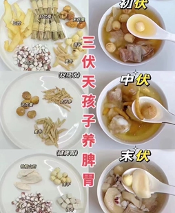 三伏天儿童养脾胃汤包灯心草玉竹太子参麦冬四神汤广东滋补养生汤