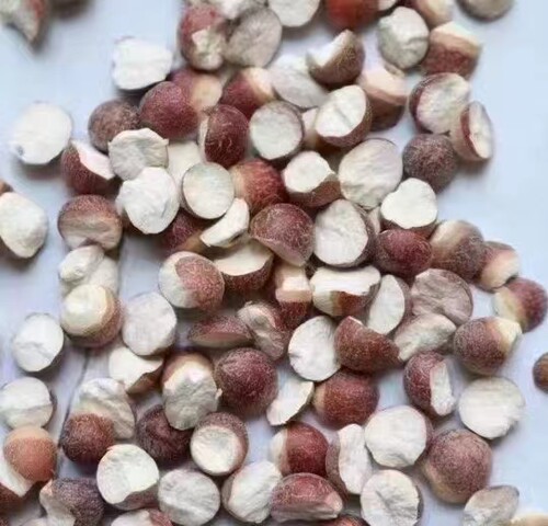 芡实干货500g大粒鸡头米新鲜开边茨实农家自产天然欠实肇庆芡实米