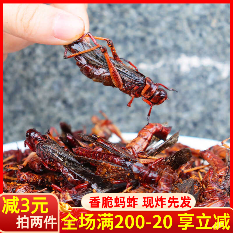 蚂蚱即新鲜油炸食烧烤昆虫可食用蚂蚱蝗虫子肉香酥下酒菜零食小吃
