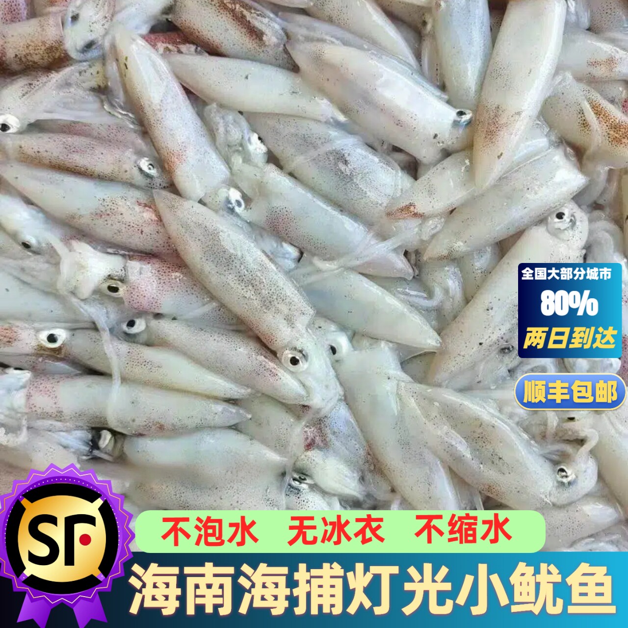 海南笔管鱼海兔小鱿鱼新鲜海鲜乌冷冻鱿鱼