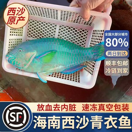 海南三沙西沙青衣鱼鲜活冷冻新鲜海鱼海鲜生鲜真空顺丰空运包邮