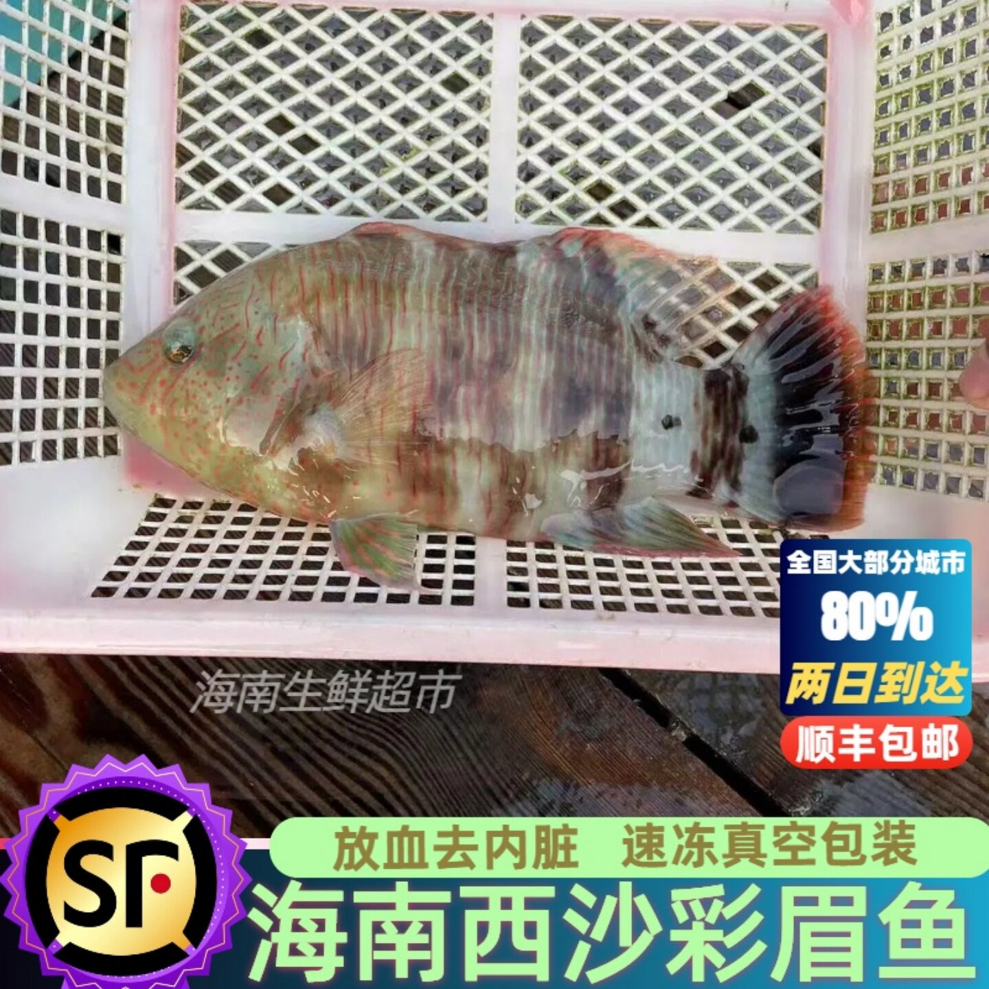 海南三沙西沙群岛彩眉鱼珊瑚礁鱼新鲜鲜活海鱼冷冻海鲜顺丰包邮