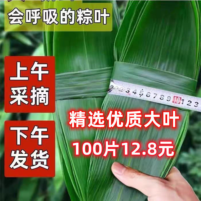 粽叶新鲜粽子叶天然农家野生大号100片箬叶家用新叶真空包粽子叶