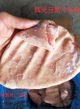 新鲜冷冻猪耳朵 耳片 耳尖 27.2斤装 整箱85片左右卤菜店饭店食材