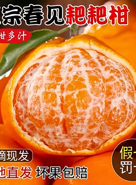 正宗四川春见耙耙柑新鲜粑粑柑5斤甜非丑八怪柑桔子橘子现摘大果