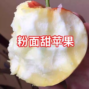 粉面沙甜糯苹果宝宝刮果泥新鲜秦冠红香蕉婴儿老人孕妇吃非花牛