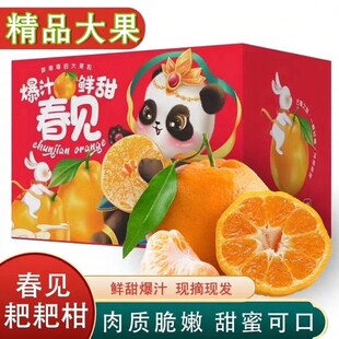 四川春见耙耙柑新鲜5/9斤粑粑柑桔非丑八怪橘子孕妇水果整箱包邮
