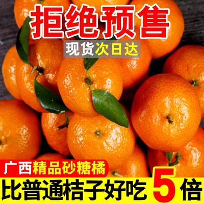 现货】正宗广西砂糖橘产地直发