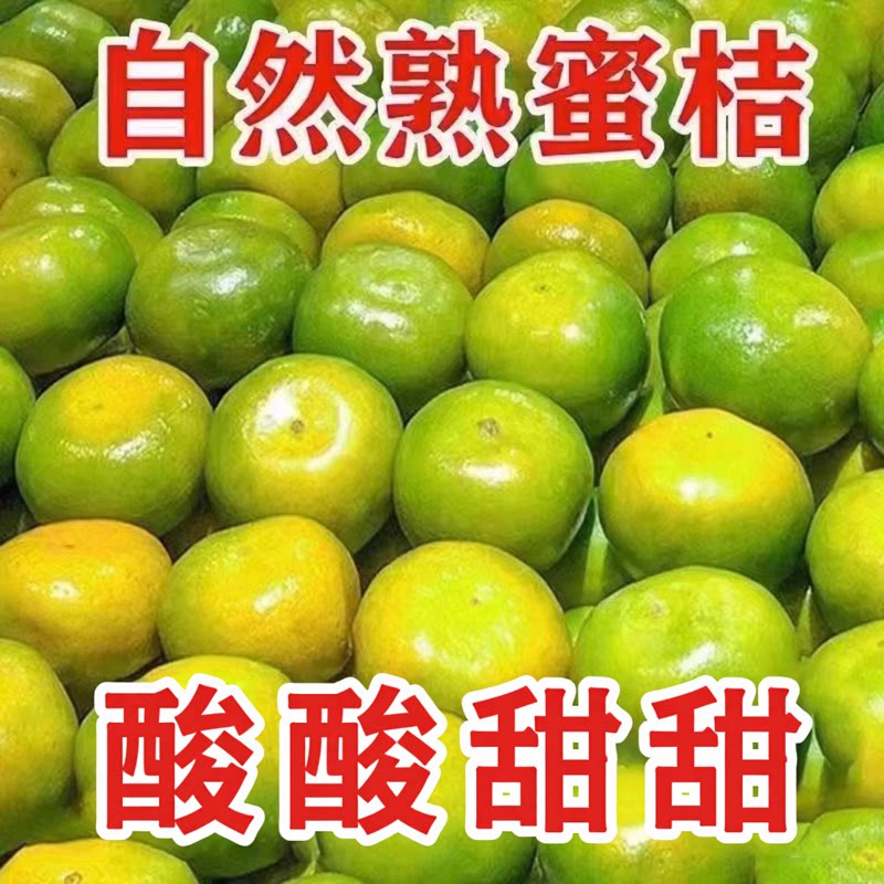 现摘蜜橘新鲜当季头茬无籽青皮蜜桔橘子大果酸甜孕妇水果整箱包邮