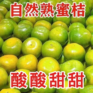 现摘蜜橘新鲜当季头茬无籽青皮蜜桔橘子大果酸甜孕妇水果整箱包邮