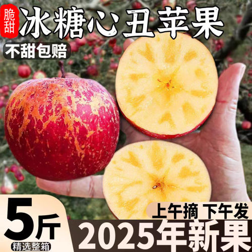 脆甜正宗冰糖心红富士丑苹果