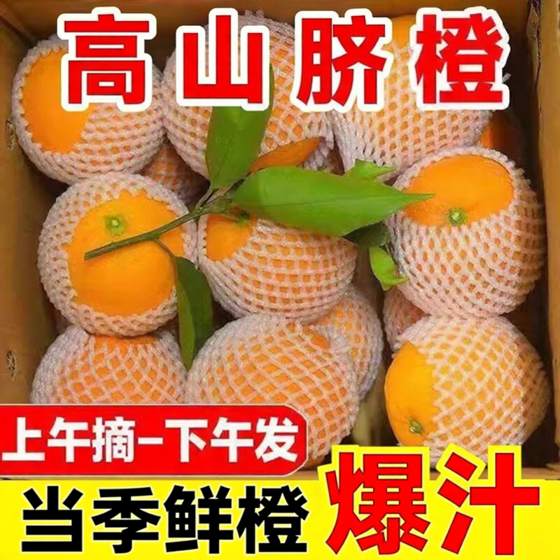 高山脐橙酸甜薄皮橙子榨汁手剥橙非果冻橙应当季新鲜水果整箱包邮