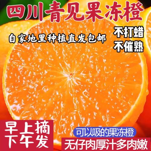 正宗四川青见果冻新鲜手剥橙当季现摘孕妇水果非爱媛38号果冻橙