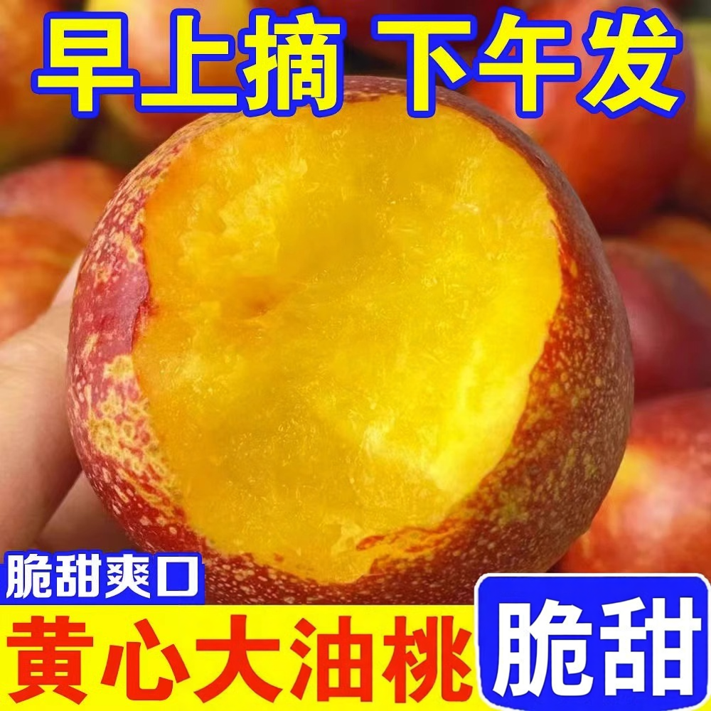 脆甜黄心油桃现摘当季新鲜水果脆蜜桃黄肉大桃子脆甜现货整箱包邮