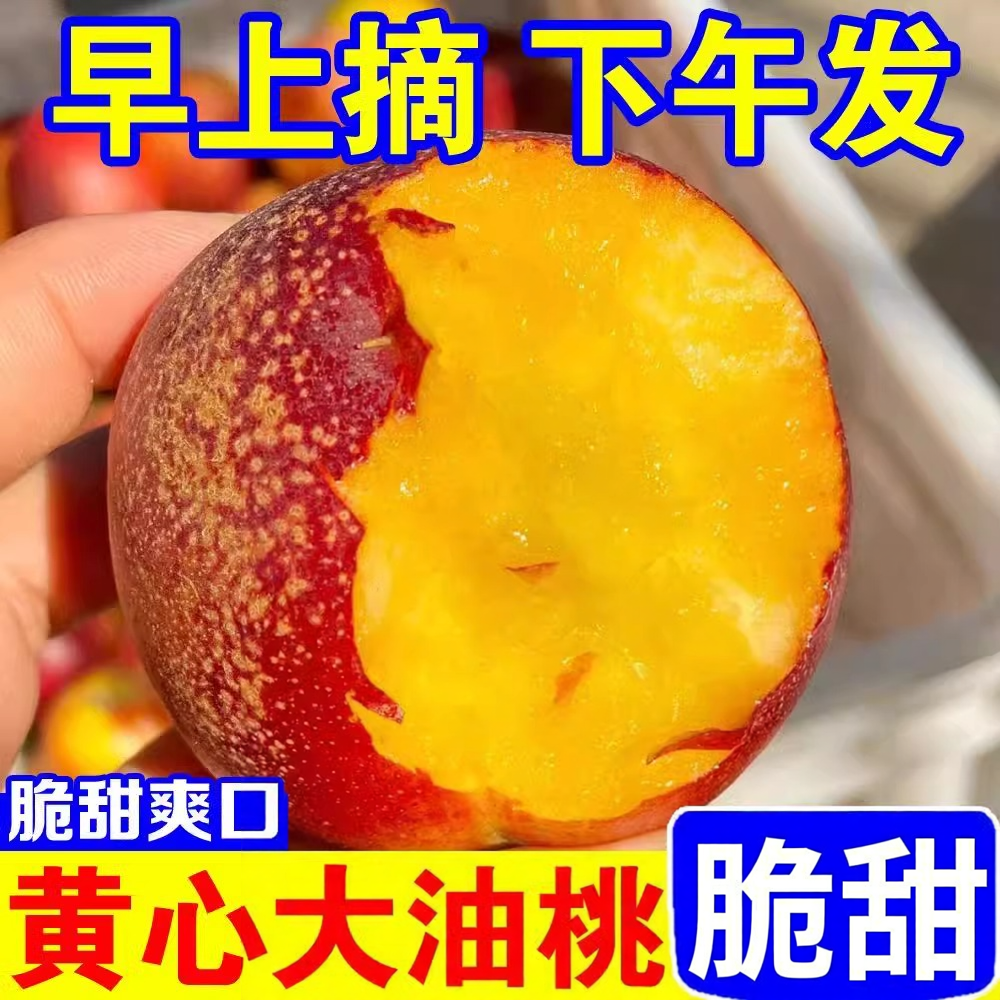 现摘黄心油桃脆甜5斤桃子应当季新鲜水果整箱黄肉超甜脆桃非麻点