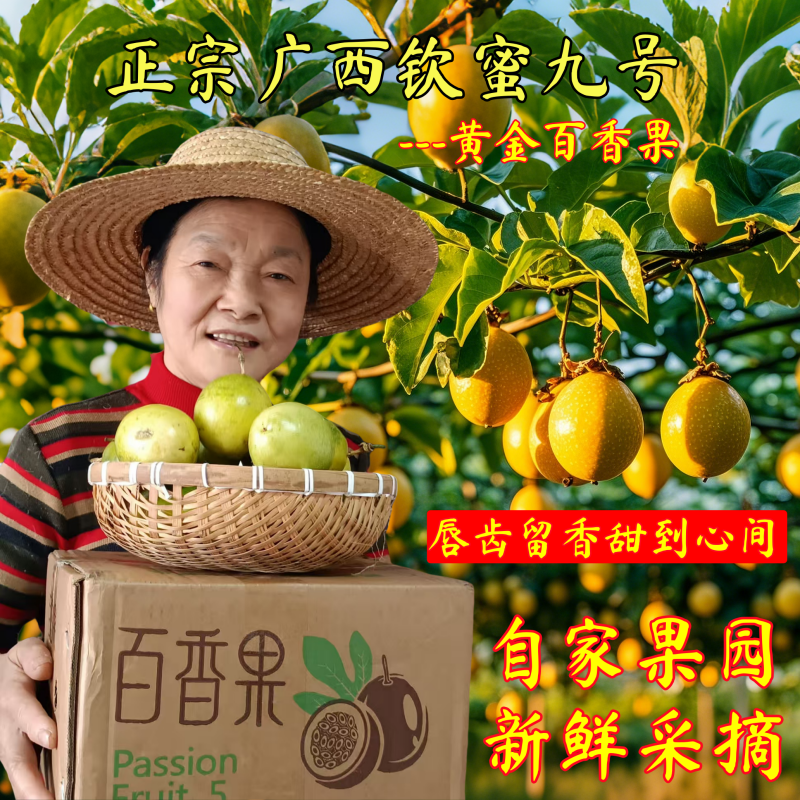 广西老奶奶自家果园新现摘产地直发正宗钦蜜九号黄金百香果好吃呢
