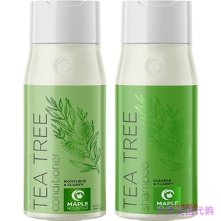 Tea Tree Shampoo and Conditioner by Maple Holistics, 10 oz