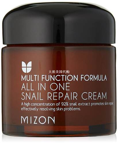 MIZON All In One Snail Repair Cream, 75 Grams