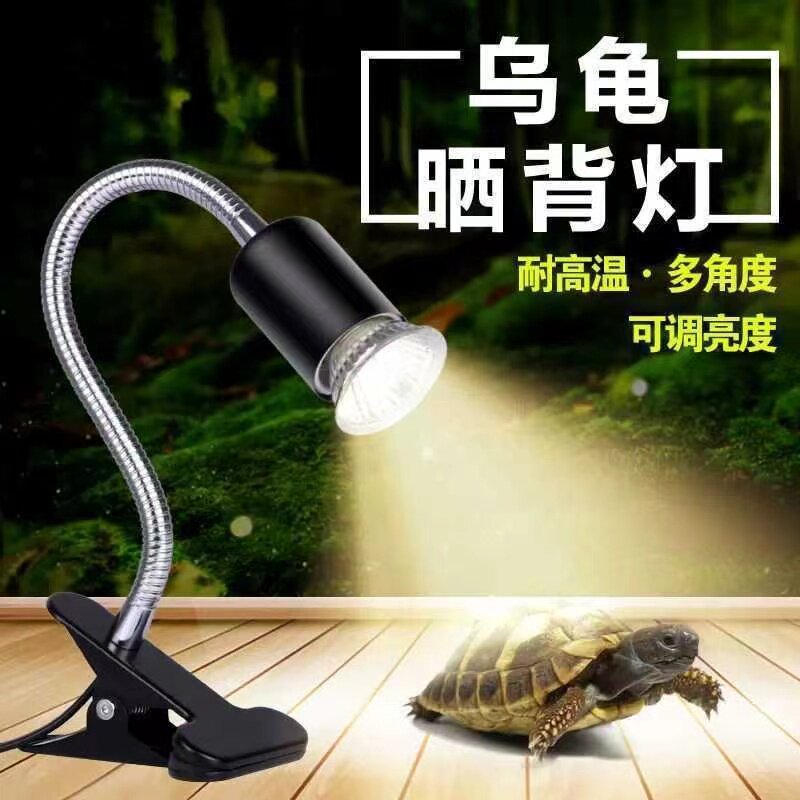 乌龟晒背灯用品uvb灯加热灯乌龟灯uva爬宠灯陶瓷全光谱太阳灯宠物