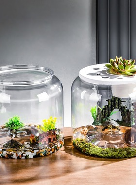 透明乌龟缸客厅鱼缸爬虫缸塑料微景观造景乌龟饲养缸寄居蟹生态缸